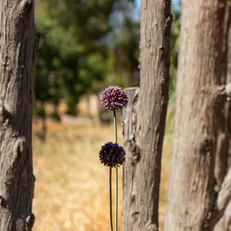 Magaya Hébergement de vacances