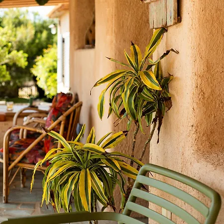 Magaya Hébergement de vacances