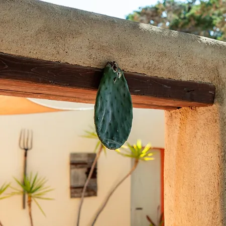 Hébergement de vacances Magaya Parasporos