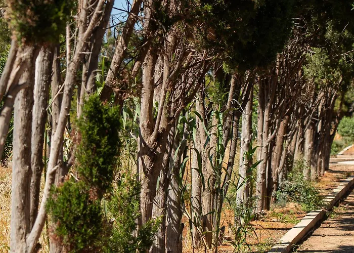 Magaya Vakantiehuis *