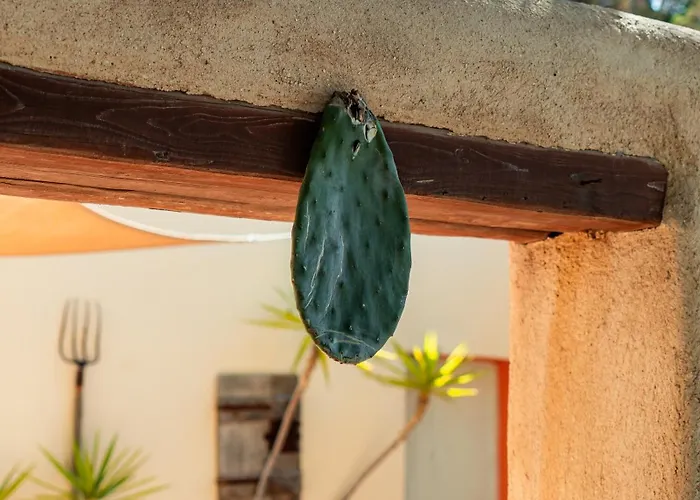 Tatil Evi Magaya Parasporos