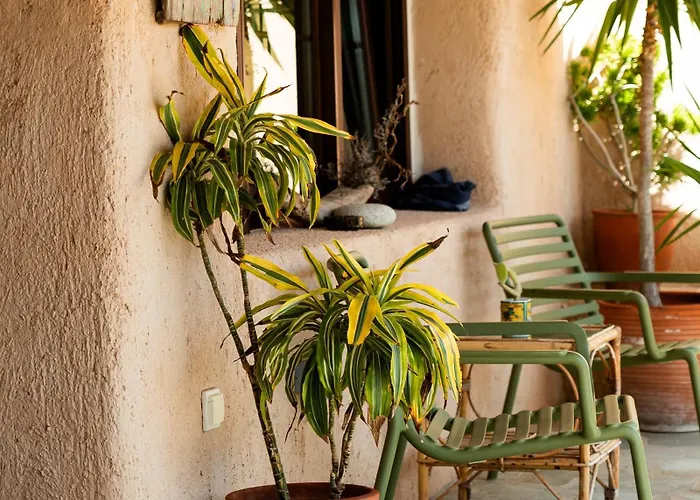 Magaya * パラスポロス