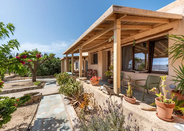 Magaya パラスポロス