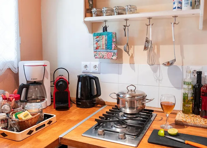 Magaya パラスポロス