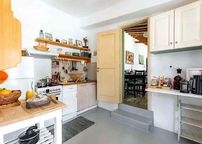 Magaya パラスポロス