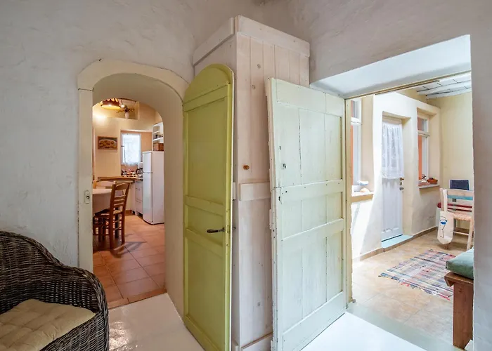 Magaya パラスポロス