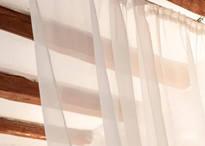 Magaya パラスポロス