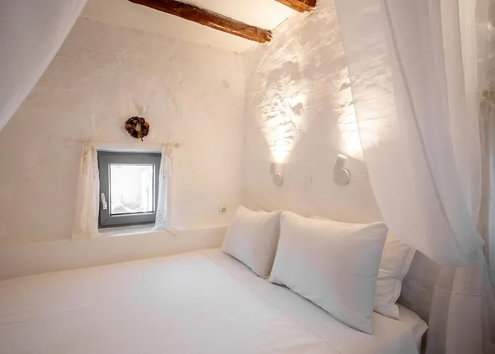 Magaya * パラスポロス